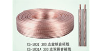 300֧y侀(xin)